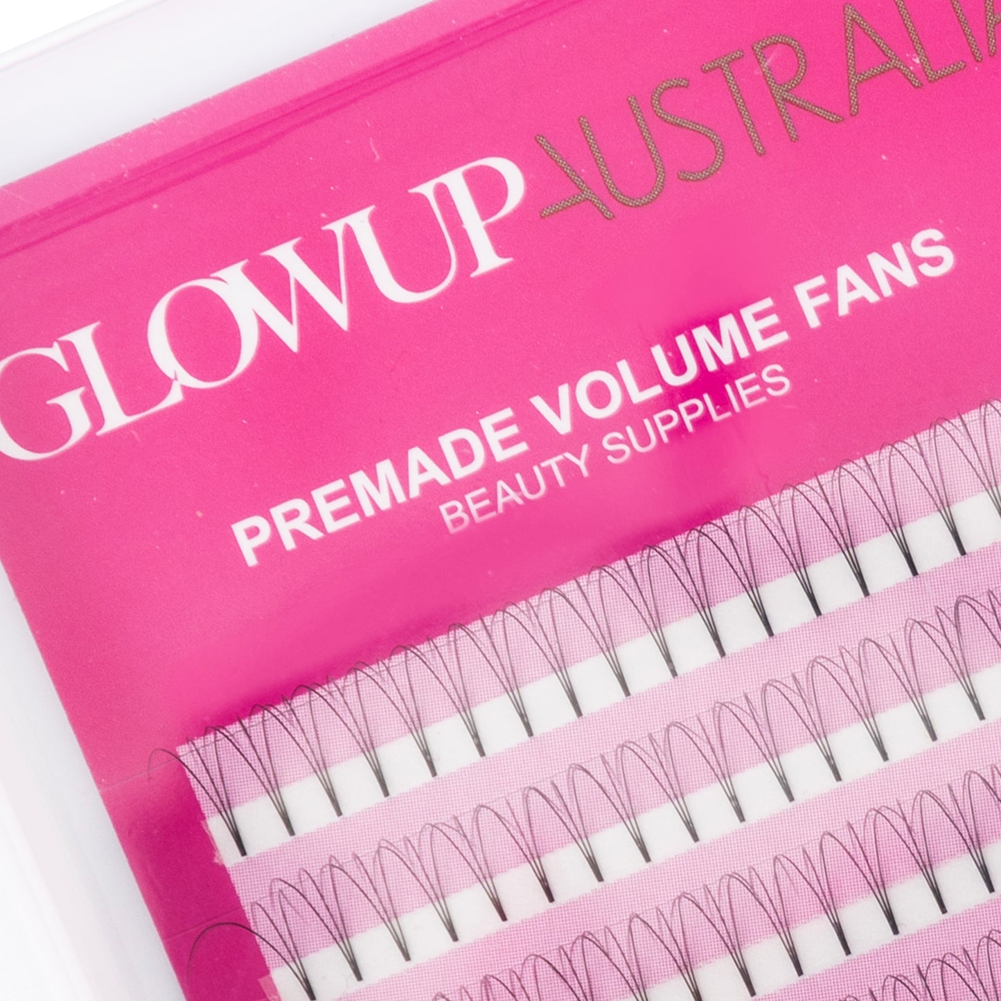 3D Premade Volume Lash Tray | D Curl 0.07 Premade Fans